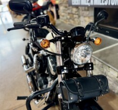 2022 XL1200X - Forty-Eight thumb 1