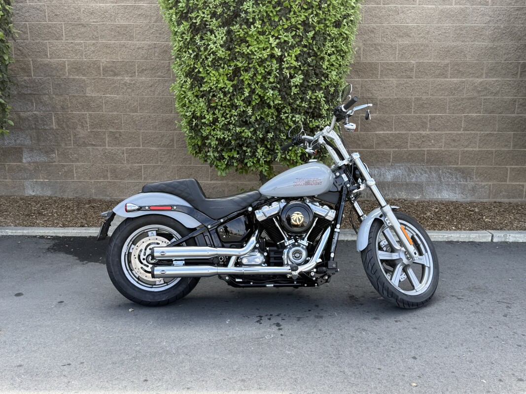 FXST 2024 Softail™ Standard