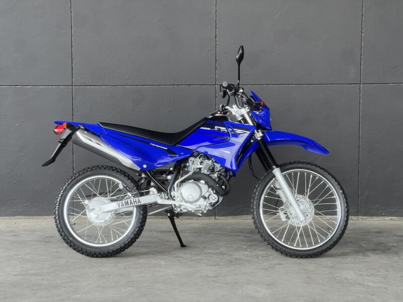 2025 YAMAHA XTZ125 BLUE