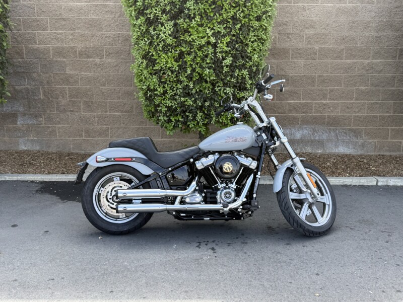 FXST 2024 Softail™ Standard