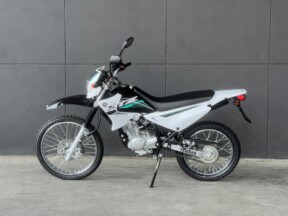 2025 YAMAHA XTZ125 WHITE thumb 1