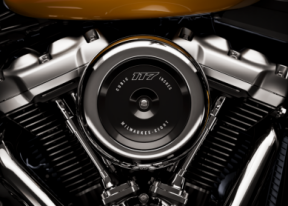 2025 Harley-Davidson® Street Bob® 117 Iron Horse Metallic (Cast Wheels) thumb 3