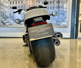 2025 Harley-Davidson® Fat Boy™ Billiard Gray thumb 1