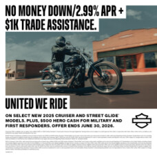 2025 Harley-Davidson Breakout FXBR thumb 3