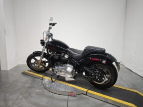 FXST 2023 Softail® Standard thumb 1