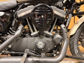 XL 883N 2022 Iron 883™ thumb 2