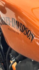 XL 883N 2014 Iron 883™ thumb 1