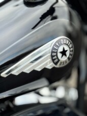  2025 Fat Boy 114 cci Vorführ-Maschine Top gepflegt thumb 0