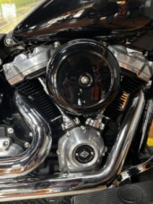 2021 Harley-Davidson® Softail Slim® BLACK thumb 2