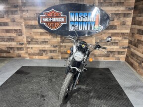 2024 Royal Enfield Interceptor 650 Cali Green thumb 3