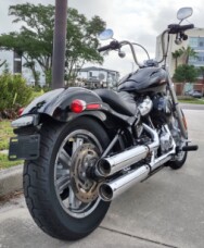 FXST 2023 Softail® Standard thumb 1