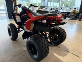 2026 Can-Am DS 250 thumb 0