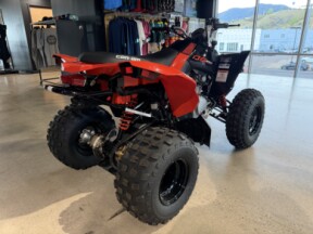 2026 Can-Am DS 250 thumb 2