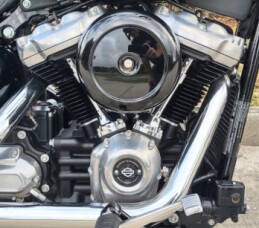 FXST 2023 Softail® Standard thumb 2