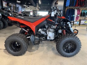 2026 Can-Am DS 250 thumb 3