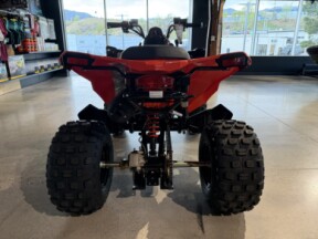 2026 Can-Am DS 250 thumb 1
