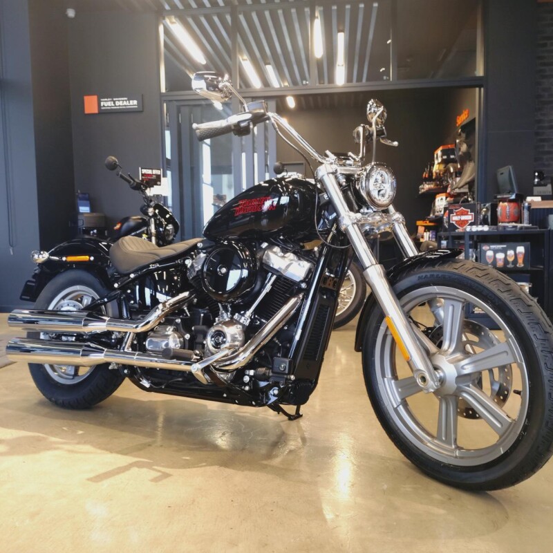 Softail™ Standard | Harley-Davidson® 福岡