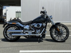 2026 Harley-Davidson® Breakout™ Iron Horse Metallic Chrome Trim thumb 2