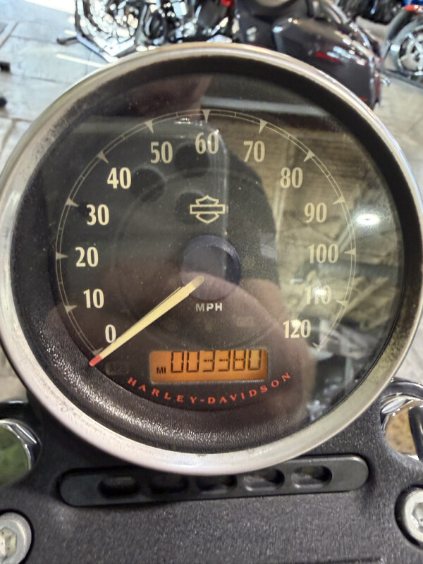 2019 Harley-Davidson® Iron 883™ Industrial Gray No Gimmicks, No Hidden Fees., photo 16