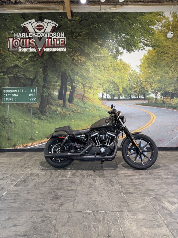 2019 Harley-Davidson® Iron 883™ Industrial Gray No Gimmicks, No Hidden Fees.