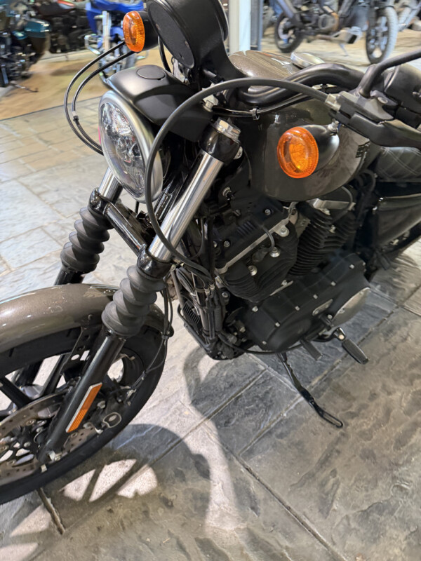 2019 Harley-Davidson® Iron 883™ Industrial Gray No Gimmicks, No Hidden Fees., photo 11