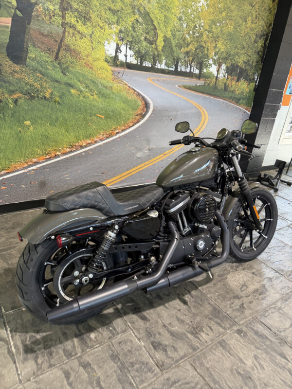 2019 Harley-Davidson® Iron 883™ Industrial Gray No Gimmicks, No Hidden Fees., photo 21