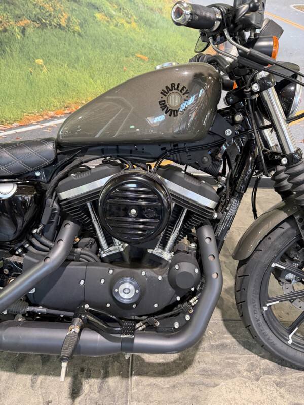2019 Harley-Davidson® Iron 883™ Industrial Gray No Gimmicks, No Hidden Fees., photo 4