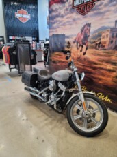 2024 Harley-Davidson® Softail® Standard Billiard Gray FXST thumb 0