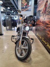 2024 Harley-Davidson® Softail® Standard Billiard Gray FXST thumb 1