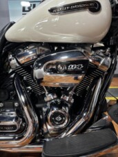 2019 Harley-Davidson® Freewheeler® BNVL SALT PEARL thumb 1