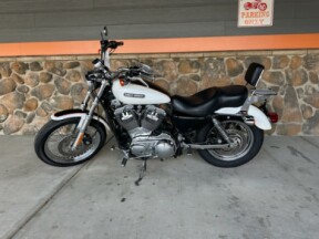 2006 Harley-Davidson® Sportster® 1200 Low G WHT/BLK W/PINSTRIPE thumb 3