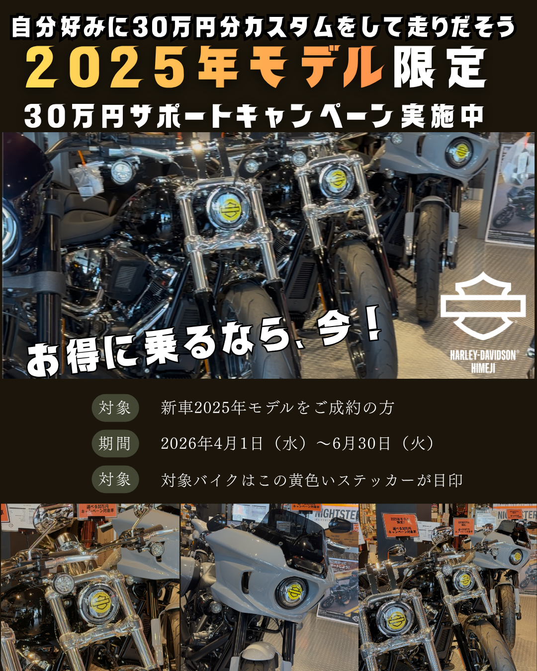 ハーレーキャンペーン 30万円キャンペーン | Harley-Davidson® 姫路