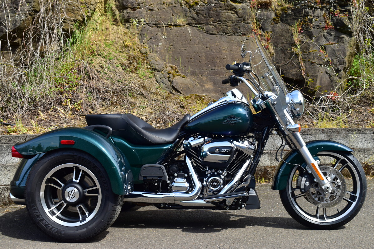 2021 Harley-Davidson® Freewheeler® Snake Venom | Volcano Harley