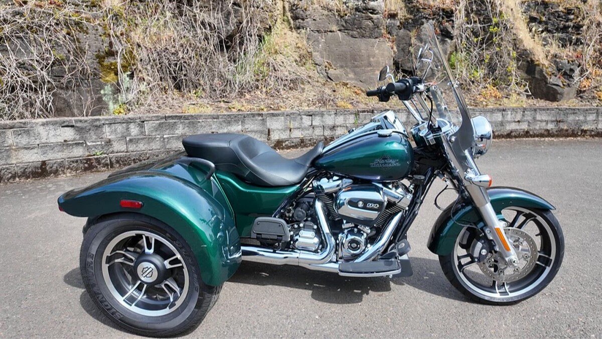 2021 Harley-Davidson® Freewheeler® Snake Venom | Volcano Harley