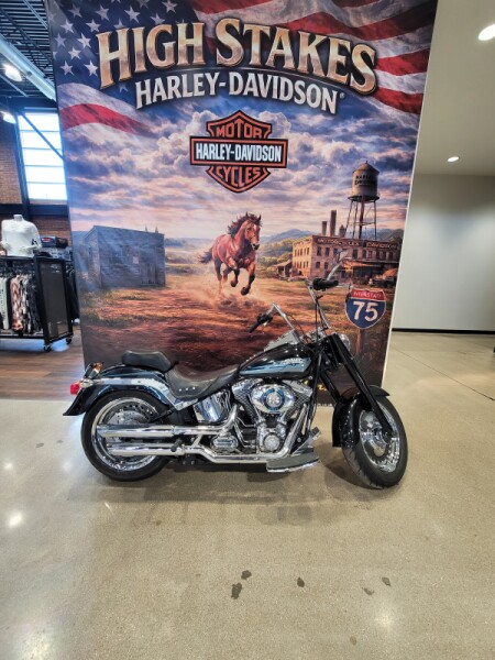 2010 Harley-Davidson® Fat Boy® Black FLSTF
