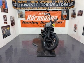 FXBBS 2024 Street Bob™ 114 thumb 1