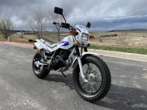 2013 Yamaha TW200 thumb 3
