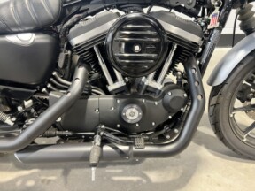 2020 Harley-Davidson® Iron 883™ Barracuda Silver Denim  XL883N thumb 1