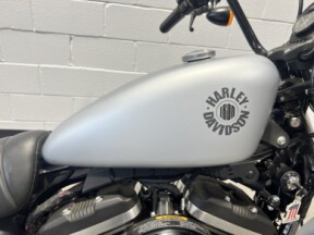 2020 Harley-Davidson® Iron 883™ Barracuda Silver Denim  XL883N thumb 3