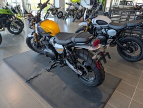 2026 Triumph Scrambler 900 thumb 0