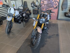 2026 Triumph Scrambler 900 thumb 3