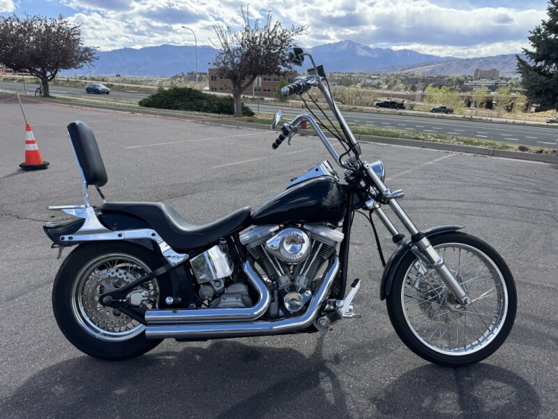  1999 Softail Custom Build