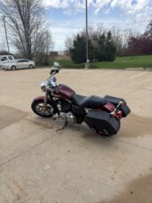 XL1200C 2016 1200 Custom thumb 1