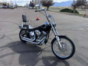  1999 Softail Custom Build thumb 3