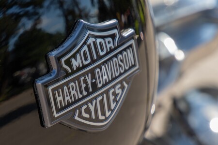 LAMS Approved Harley-Davidson Motorcycles in Australia: The 2026 Guide