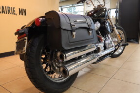 2021 Harley-Davidson HD Cruiser Softail Standard FXST thumb 0