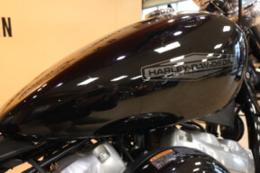 2021 Harley-Davidson HD Cruiser Softail Standard FXST thumb 3
