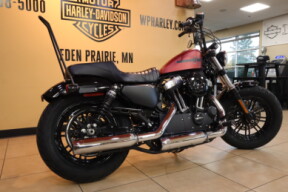 2019 Harley-Davidson HD Sportster Forty-Eight XL1200X thumb 1