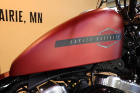 2019 Harley-Davidson HD Sportster Forty-Eight XL1200X thumb 3