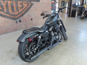 2019 Harley-Davidson® Iron 883™ XL 883N thumb 1